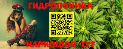 шишки Белореченск