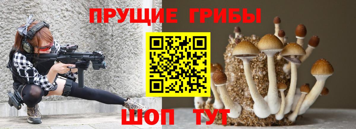 Псилоцибиновые грибы Psilocybine cubensis  Вход с VPN  Псилоцибиновые грибы мухоморы  Бахчисарай 